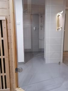 大洛西尼Vila Lom的带淋浴的浴室和玻璃门