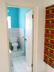 安东尼奥港Porty Hostel的一间带卫生间和蓝色墙壁的浴室