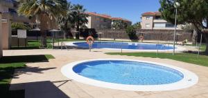 桑卢卡尔-德巴拉梅达Apartamento acogedor en lugar inmejorable的庭院里的一个大型游泳池