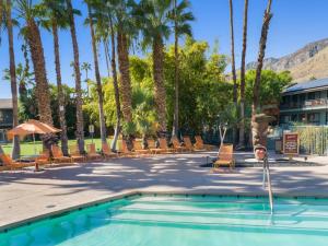 棕榈泉卡琳特热带酒店的度假村内带椅子和棕榈树的游泳池