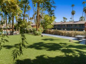棕榈泉卡琳特热带酒店的一座拥有棕榈树和草地的庭院