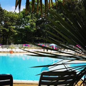 圣布里文莱丝皮恩Camping Officiel Siblu Les Pierres Couchees的旁边是一座棕榈树的大型游泳池