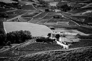 蒙福特达尔巴Agriturismo Cascina Sciulun的相册照片