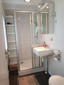 布劳沃斯港Zeeuwse Landhoeve的带淋浴和盥洗盆的浴室