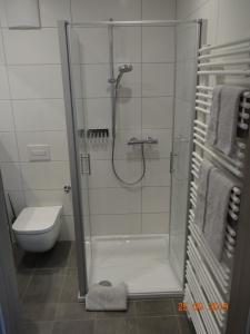 NeuhofApartmenthaus Vogel的带淋浴和卫生间的浴室