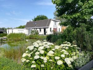 雷嫩Luxe Studio Bovenweg的一座花园,在房子前有白色的花朵