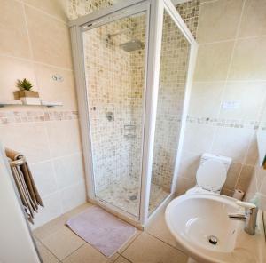 科尔切斯特River Rooms - Chilled and Relaxed - Colchester - 5km from Elephant Park的带淋浴和卫生间的浴室