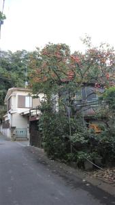 WaizumiSadie's Home的房子边有红花的树