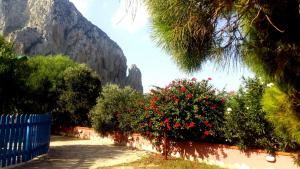 圣维托罗卡波Baglio Del Sole的山前一排红花丛