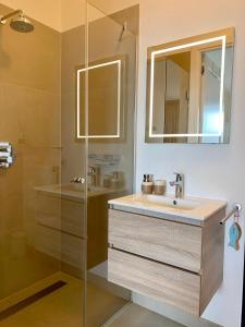 阿姆斯特丹Waterfront Studio的浴室配有盥洗盆和带镜子的淋浴