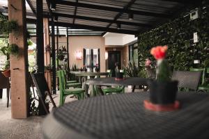 素叻素叻完美酒店的庭院设有桌子和绿色椅子,种有植物