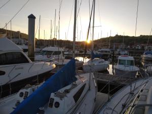 扎马亚Inolvidable experiencia en un velero de 11 metros!的日落时分停靠在码头的一组船