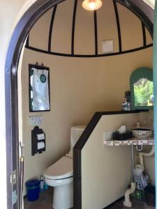 北斗市Garden Shed R的一间带卫生间和镜子的浴室
