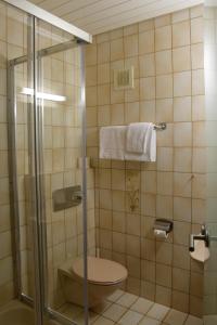 内卡河畔弗赖贝格Hotel - Restaurant Baumann的带淋浴、卫生间和毛巾的浴室
