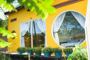 芹苴Binh Minh Eco Lodge的黄色房子,有白色窗帘和盆栽植物