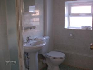 布莱克浦布莱克浦酒店的一间带卫生间、水槽和窗户的浴室