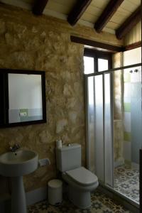奥苏纳Casas Rurales Las Viñas的一间带卫生间、水槽和镜子的浴室
