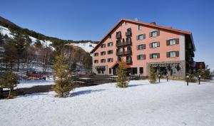 埃尔祖鲁姆德德曼帕兰朵肯滑雪旅舍酒店的雪上大建筑,前面有树木