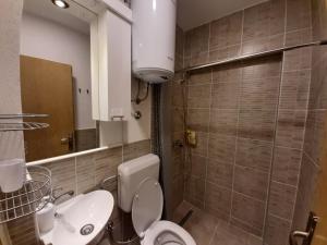 萨拉热窝Guesthouse Hill的一间带卫生间、水槽和镜子的浴室