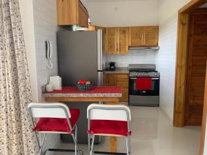 博卡奇卡KSL Residence的厨房配有2把红色椅子和冰箱