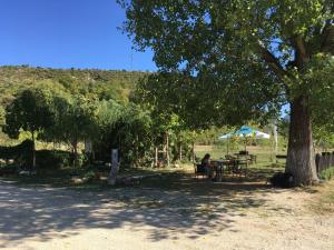 佩尔梅特Albturist Ecocamping Përmet & Outdoor Sports Center的坐在树下野餐桌上的人