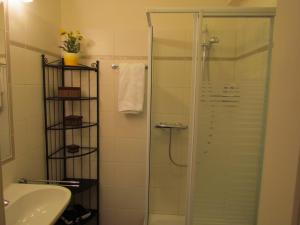 蒂罗尔-泽费尔德Apartment Sophia的带淋浴的浴室和玻璃淋浴间