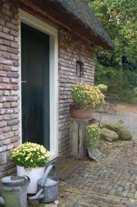 Hijken昂兹迪尔住宿加早餐旅馆的隔壁有两株盆栽植物的砖房