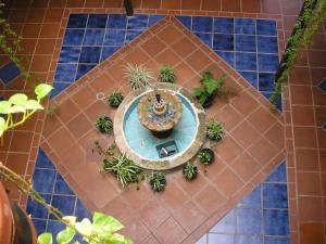 维尔达热带风情酒店内部或周边泳池景观