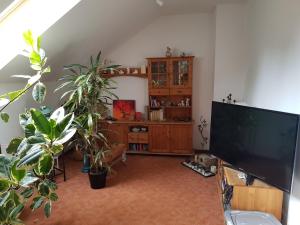 韦尔德Ferienwohnung Blütenstadt Werder-Havel的客厅配有植物和大屏幕电视