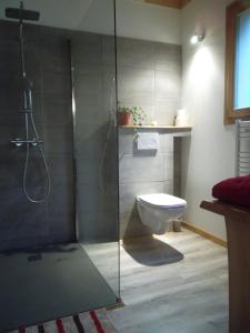 Le NoyerLa Buissonnière的一间带卫生间和玻璃淋浴间的浴室