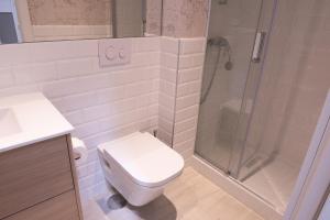 萨拉曼卡比萨拉曼卡公寓的一间带卫生间和淋浴的浴室