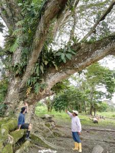 MacedoniaHospedaje y tours Reina Arriera amazonas colombia的两个人站在树旁边