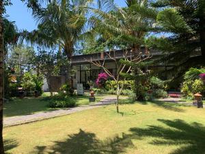 努沙杜瓦D'Mell Bali的庭院前有棕榈树的房子