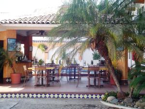 巴亚尔塔港珊瑚酒店的一个带桌椅的庭院和棕榈树