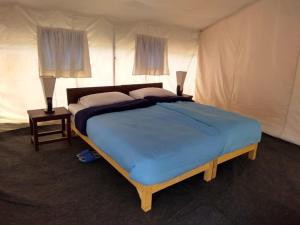Tso Camps客房内的一张或多张床位
