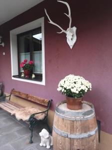 阿布特瑙吉桑德公寓的一个带长凳和一壶鲜花的房间