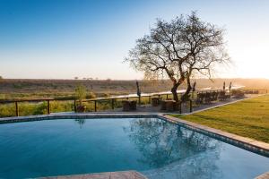 Buckler's Africa Lodge Kruger Park内部或周边的泳池