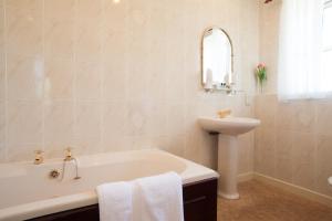 TomichThe Tomich Hotel的浴室配有盥洗盆、浴缸和盥洗盆