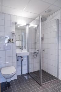 桑内斯斯维尔酒店 的浴室配有卫生间、盥洗盆和淋浴。