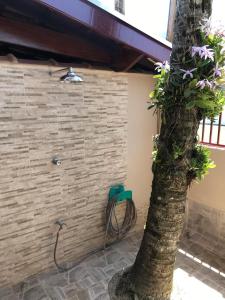 乌巴图巴Recanto Lorenzi - Apartamentos的墙上的树和绿椅