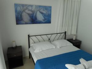 阿齐亚·佩拉加·基西拉阿纳托利公寓的卧室配有一张床,墙上挂有绘画作品