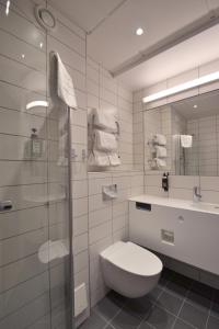 斯卡拉Skara Konsthotell的浴室配有卫生间、盥洗盆和淋浴。