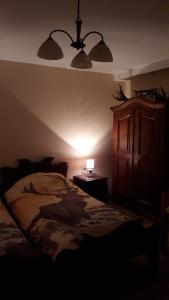 KopačevoOPG DIJANA的一间卧室配有一张床和一个带灯的床头柜