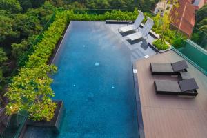 清迈The Astra Chaing Mai的享有带躺椅的游泳池的顶部景致