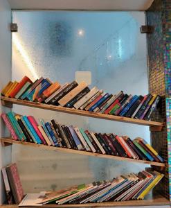 阿格拉雷玛雅酒店的书架上放着一束书