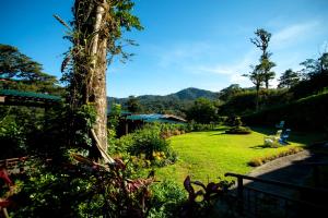 蒙泰韦尔德哥斯达黎加特拉普蒙特维多家庭旅舍的花园,花园内有绿色的草坪和树