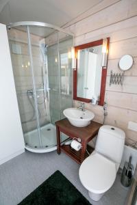 凯米The Skylight Villa的带淋浴、卫生间和盥洗盆的浴室