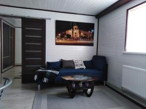 日托米尔Ольжича XXV的客厅配有蓝色的沙发和桌子