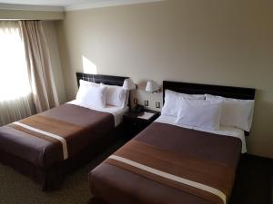 卡拉马迪亚哥德阿尔马格罗奥拓罗亚卡拉马酒店的酒店客房设有两张床和窗户。