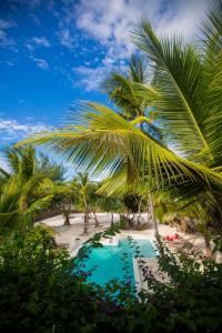 江比阿Uzuri Boutique Hotel的一个带游泳池和棕榈树的度假村